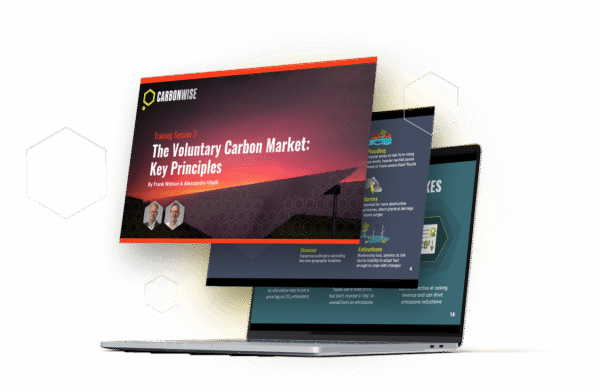 Voluntary Carbon Market - Key Principles