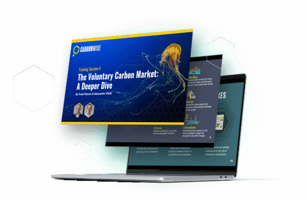 Voluntary Carbon Market - A Deeper Dive