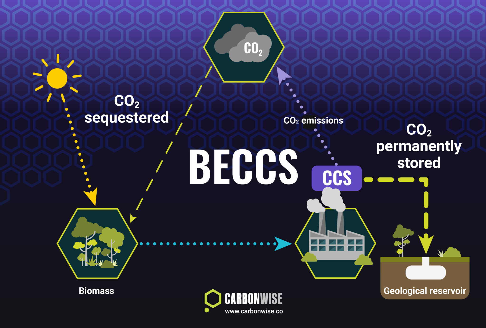 What Is BECCS Carbonwise